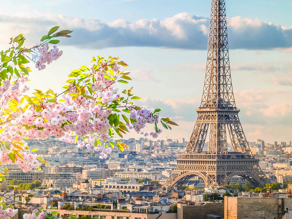 eiffel tower paris spring blossoms • Paris Tickets